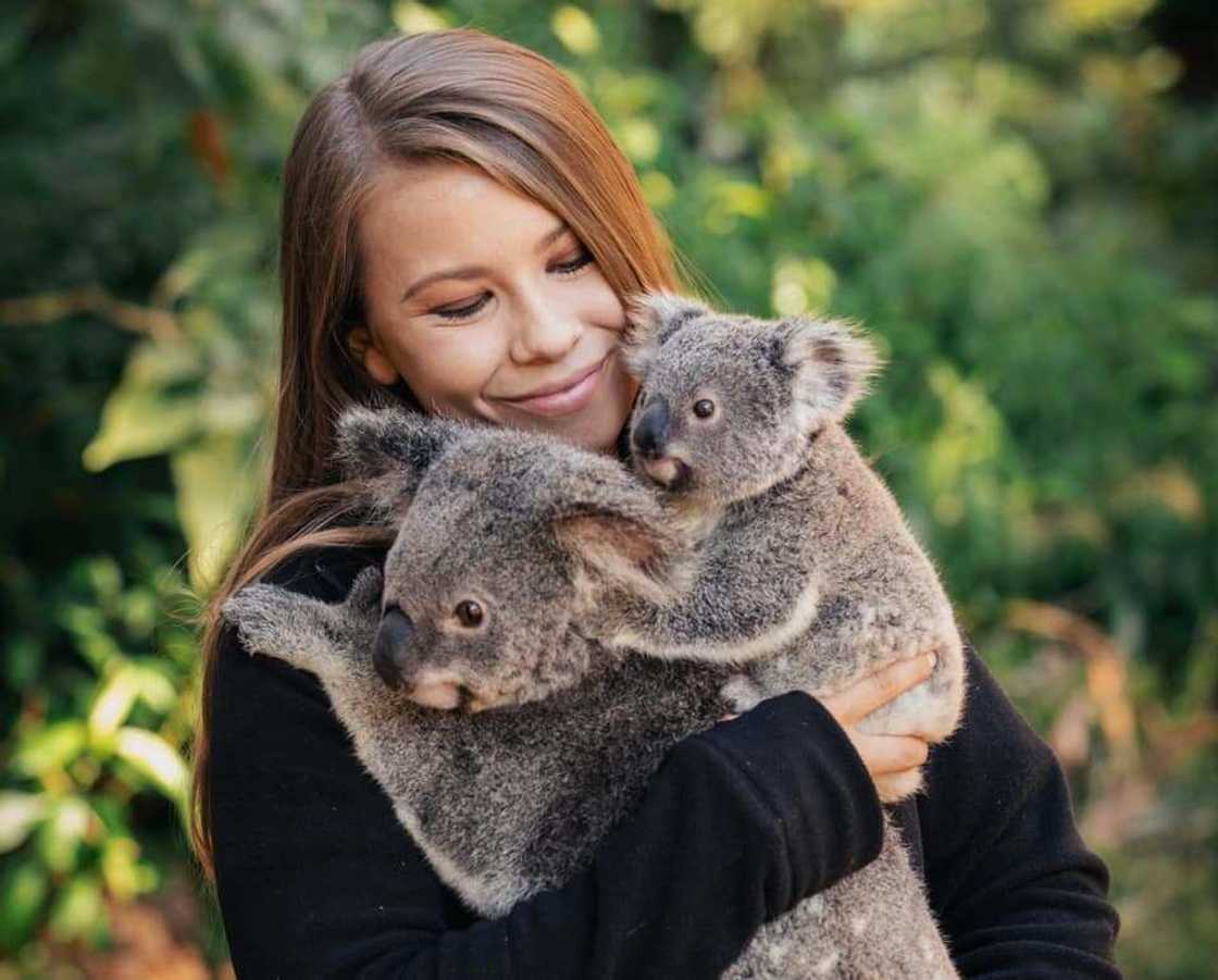 Bindi Irwin height Bindi Irwin height