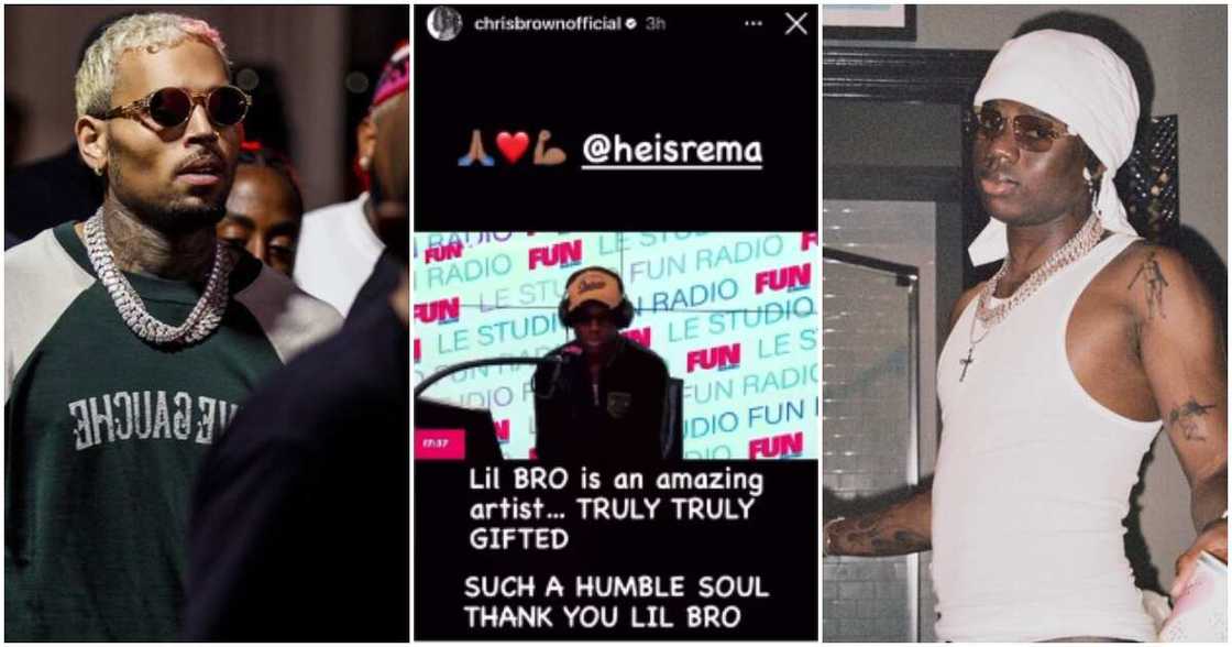 Chris Brown praises Rema.