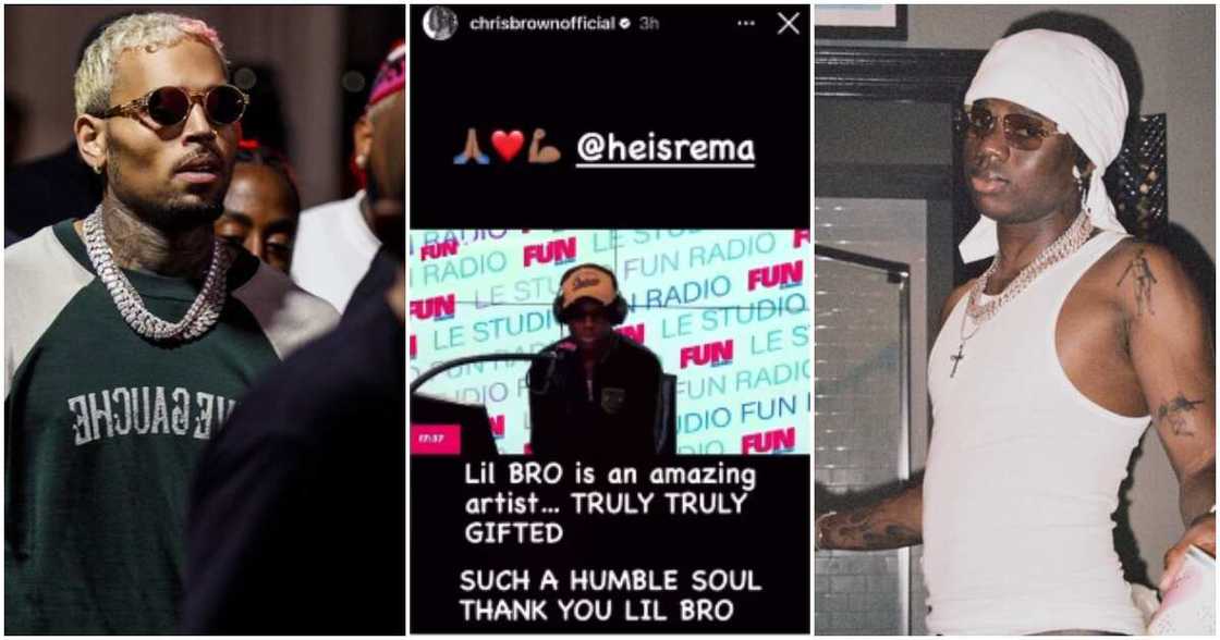 Chris Brown praises Rema. Chris Brown praises Rema.