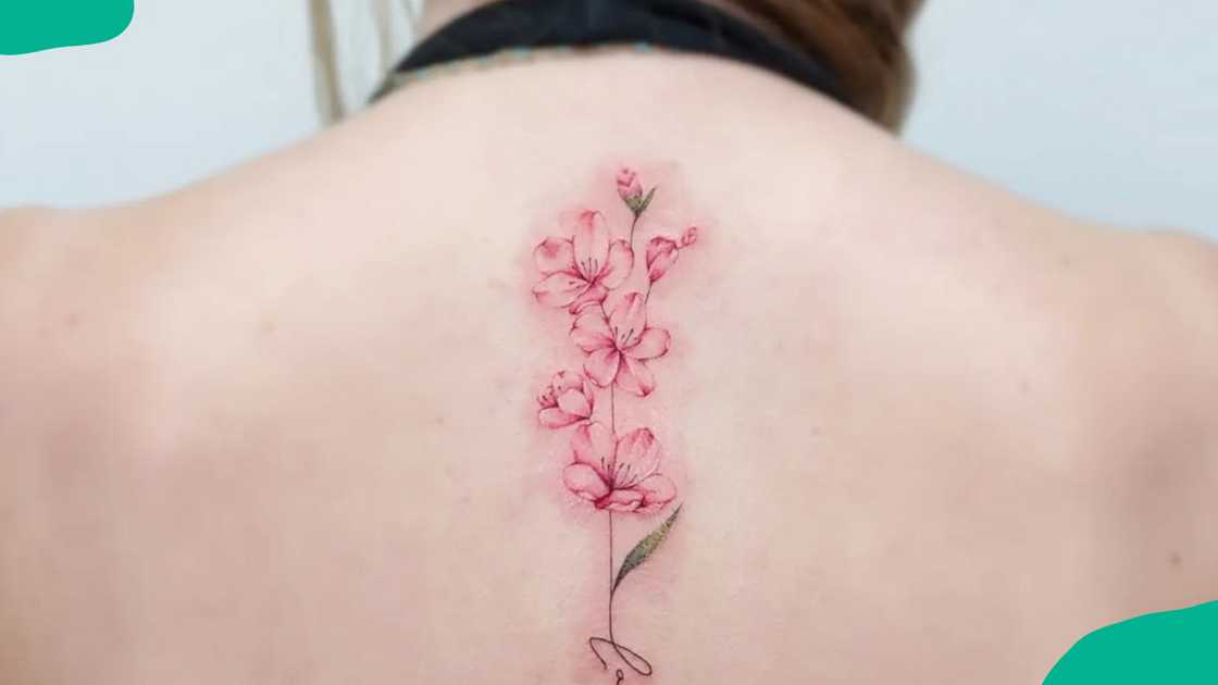 Spine cherry blossom tattoo