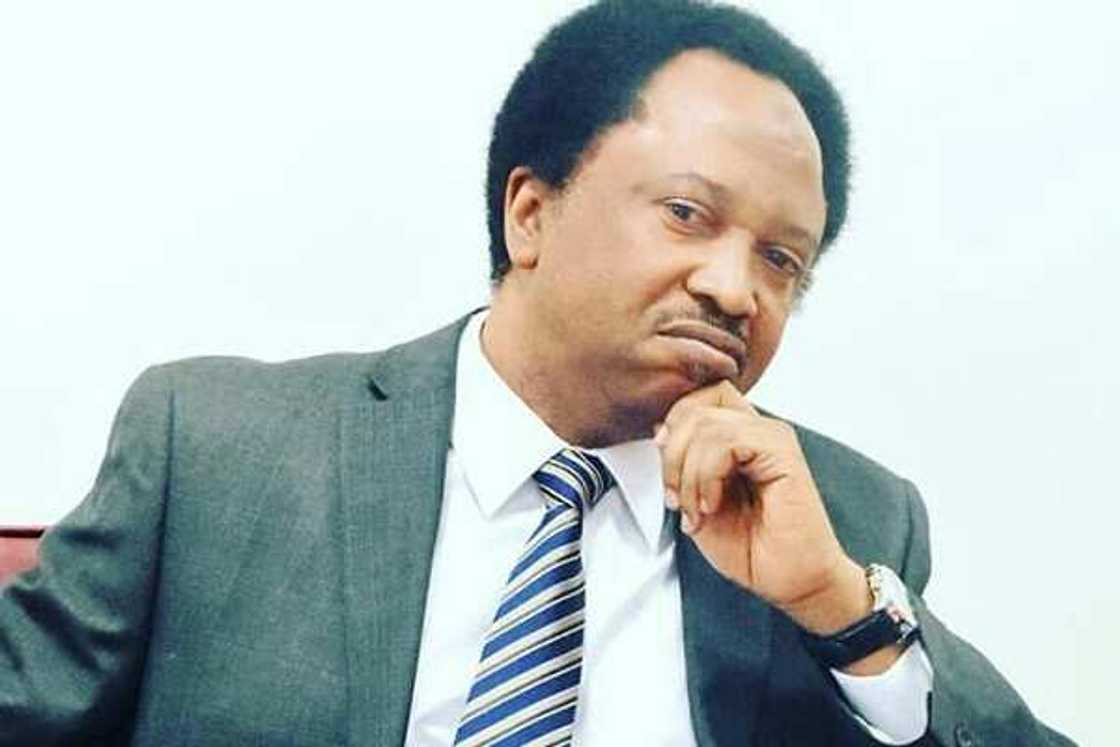 Shehu Sani ya bayyana yadda 'yan bindiga suka kara zama abin tsoro a Kaduna Shehu Sani ya bayyana yadda 'yan bindiga suka kara zama abin tsoro a Kaduna
