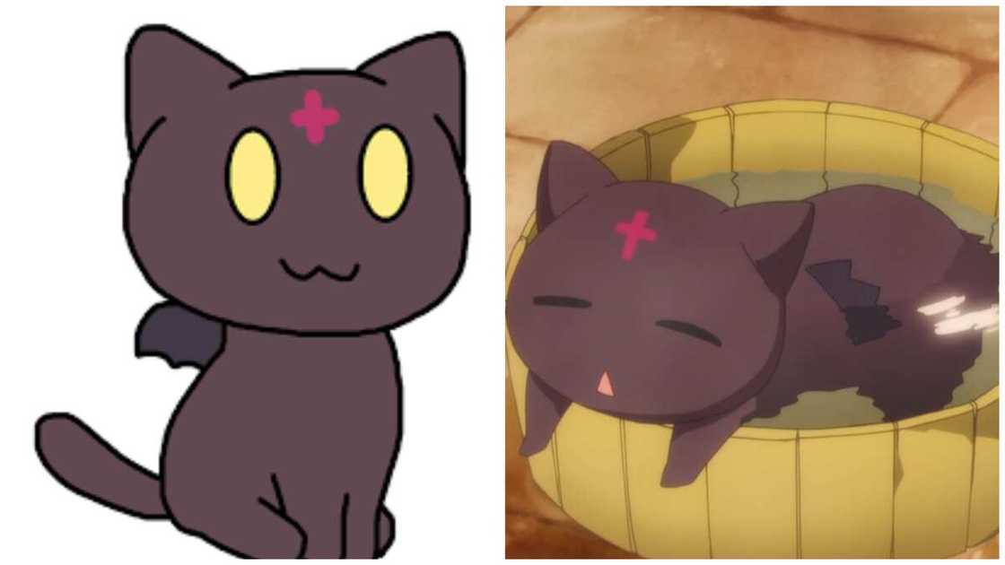 famous anime cats famous anime cats
