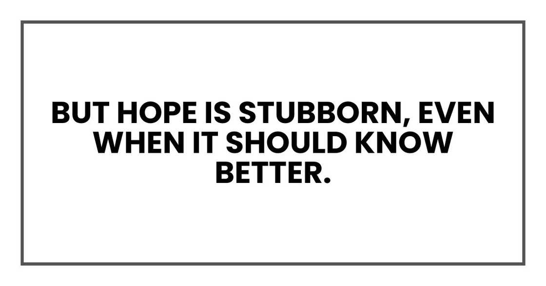 But hope is stubborn, even when it should know better.