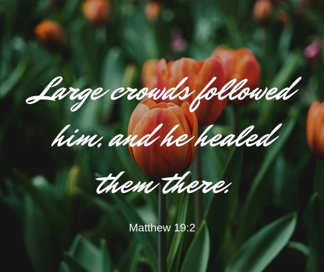 Scriptures about healing Scriptures about healing