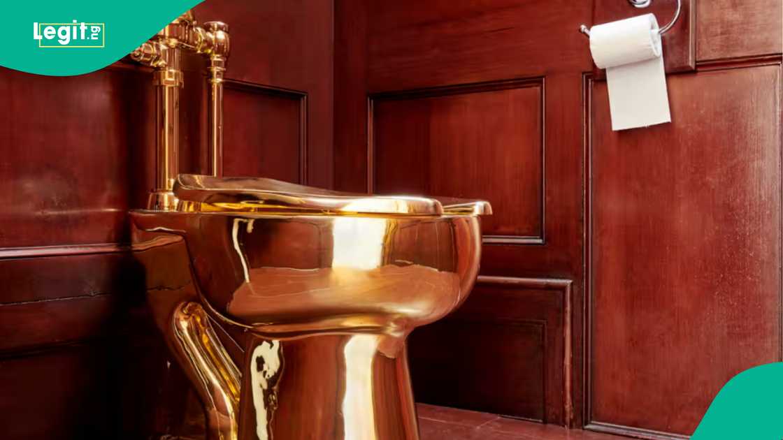 Golden toilet stolen from where it was plumbed in.