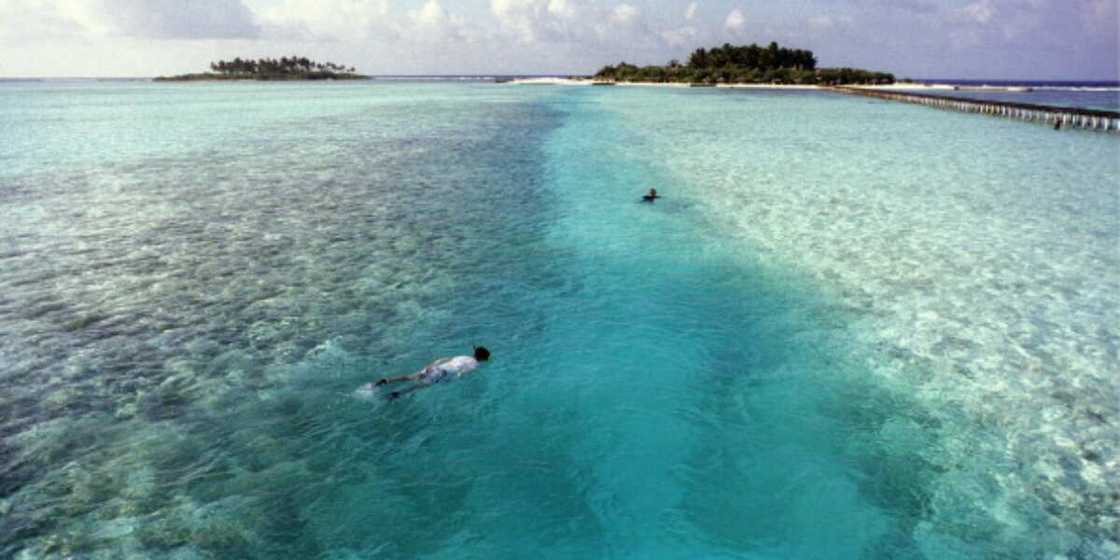 Veligandu Island Veligandu Island