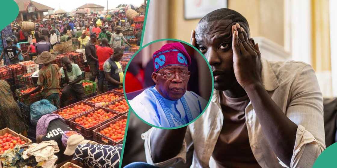 Malamin addinin Kirista ya yi magana kan saukin da Najeriya za ta samua shekarar 2025 Malamin addinin Kirista ya yi magana kan saukin da Najeriya za ta samua shekarar 2025