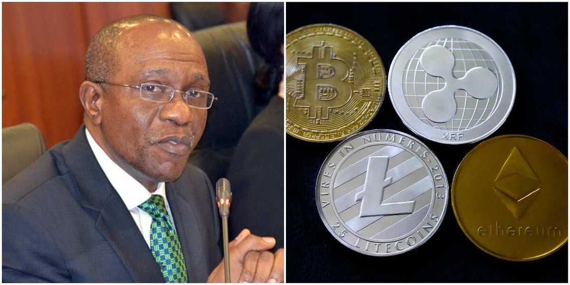 Nigerian Cryptocurrency Investors Divided Over CBN's Digital Currency Plan Nigerian Cryptocurrency Investors Divided Over CBN's Digital Currency Plan