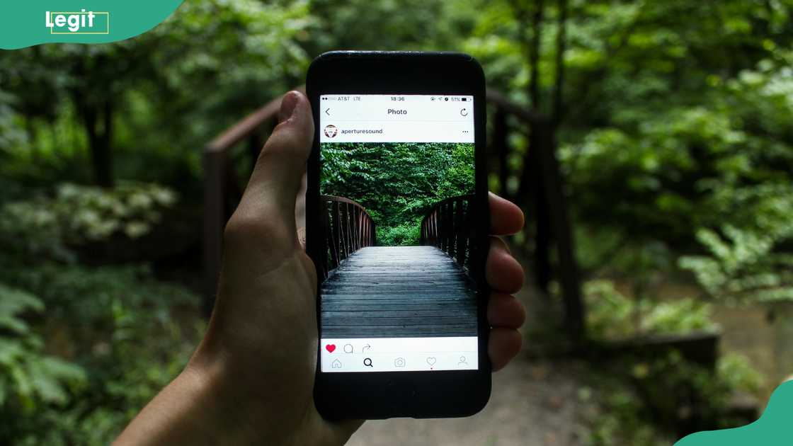 A person holding smartphone taking picture of bridge during daytime