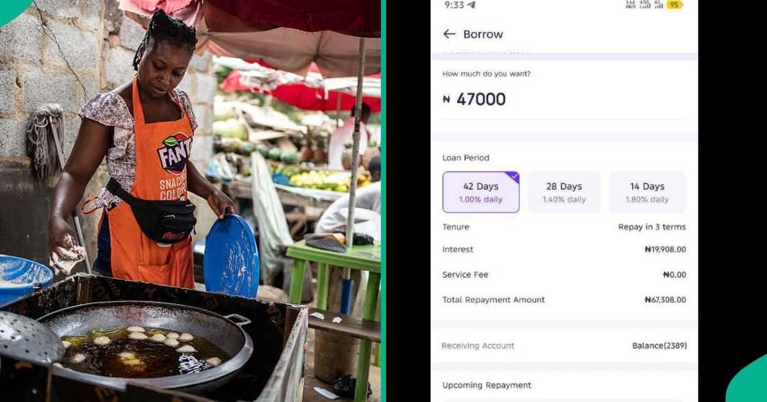Nigeria's financing gap means many small businesses continue to seek alternative sources of funding after failing to secure loans from traditional banks. Nigeria's financing gap means many small businesses continue to seek alternative sources of funding after failing to secure loans from traditional banks.