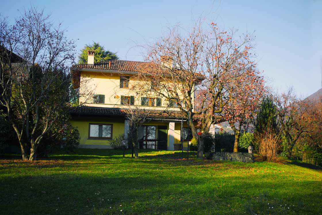 A peaceful Lagos mansion garden at sunrise. A peaceful Lagos mansion garden at sunrise.