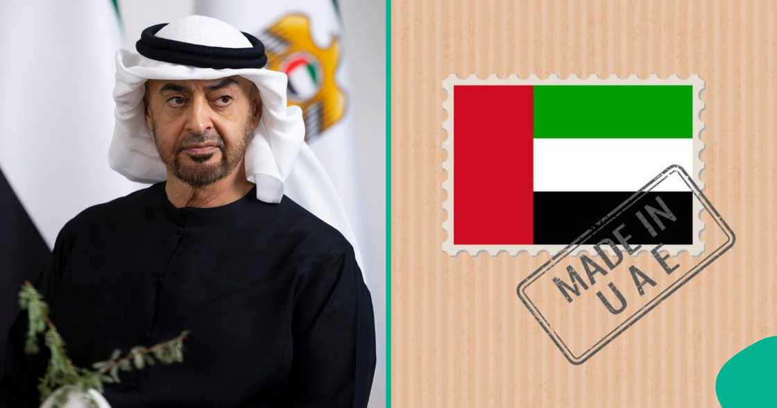 UAE publishes only 3 authorities that can nominate foreigners for citizenship.