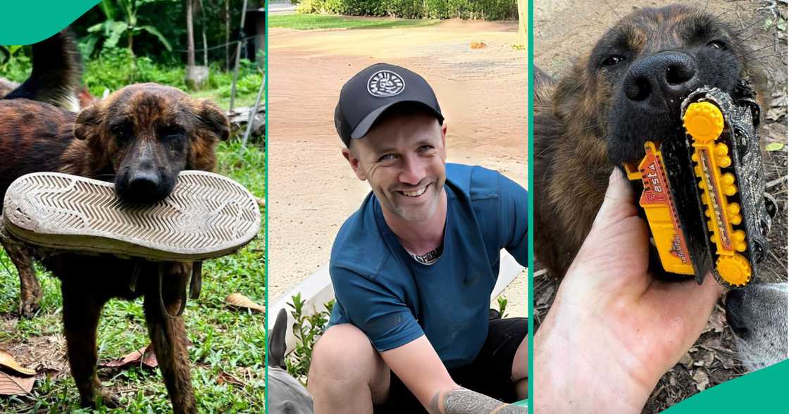 Street dog brings daily gifts for man who feed him