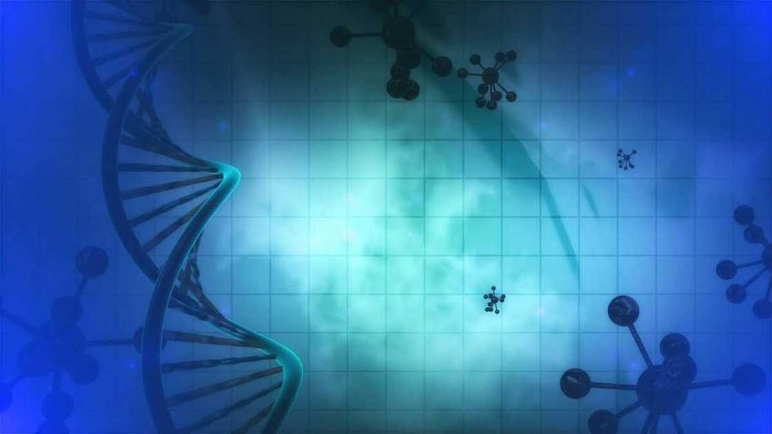 Double Stemcell benefits: are there any? Double Stemcell benefits: are there any?