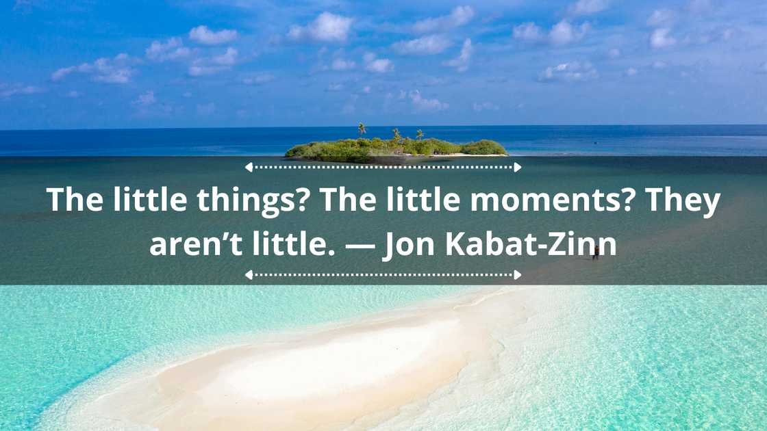 Mindfulness quotes for students Mindfulness quotes for students