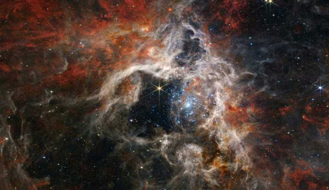Officially known as 30 Doradus, the region of space is characterized by its dusty filaments that resemble the legs of a hairy spider, and has long been a favorite for astronomers interested in star formation Officially known as 30 Doradus, the region of space is characterized by its dusty filaments that resemble the legs of a hairy spider, and has long been a favorite for astronomers interested in star formation