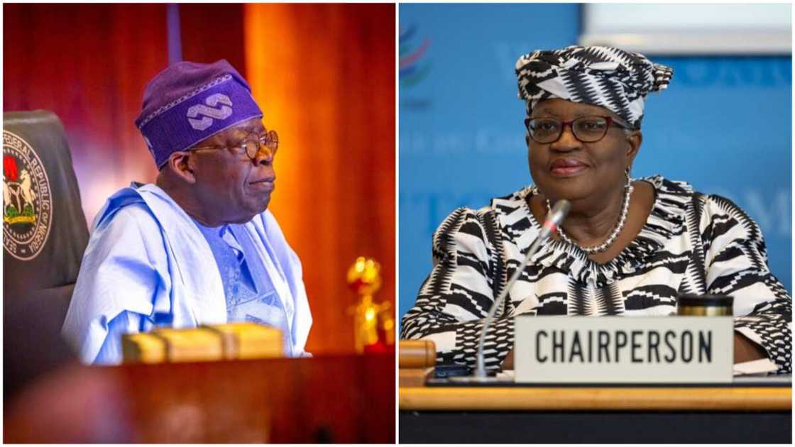 President Bola Tinubu/Ngozi Okonjo-Iweala/Presidency