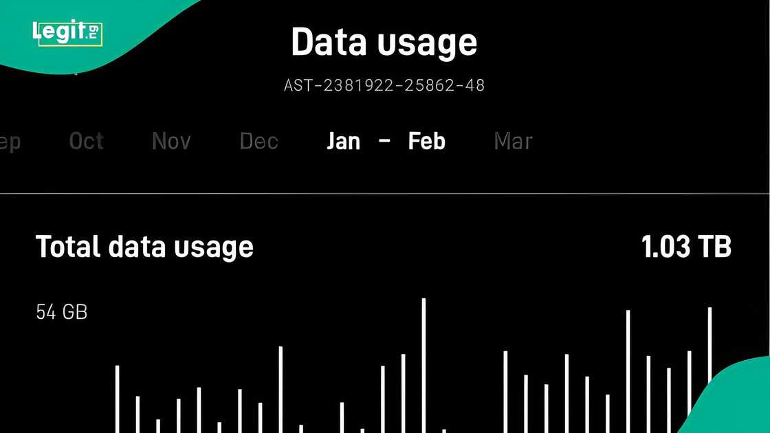 Man buys Elon Musk Starlink, shares surprising January usage details
