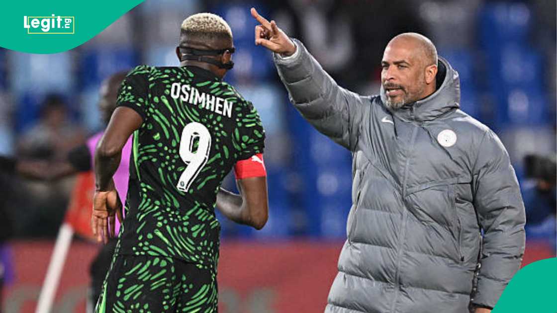 Super Eagles, Nigeria, Eric Chelle, NFF, AFCON