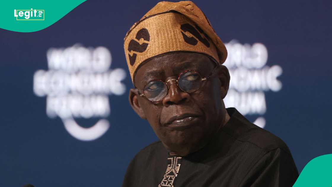 Alleged Plot to Returm Fuel Subsidies: Tinubu Asked to Intervene Alleged Plot to Returm Fuel Subsidies: Tinubu Asked to Intervene