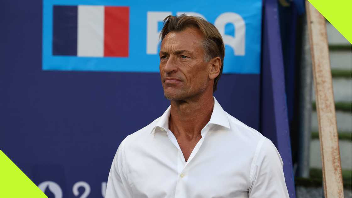Herve Renard is reportedly in talks with the NFF for the Super Eagles job Herve Renard is reportedly in talks with the NFF for the Super Eagles job