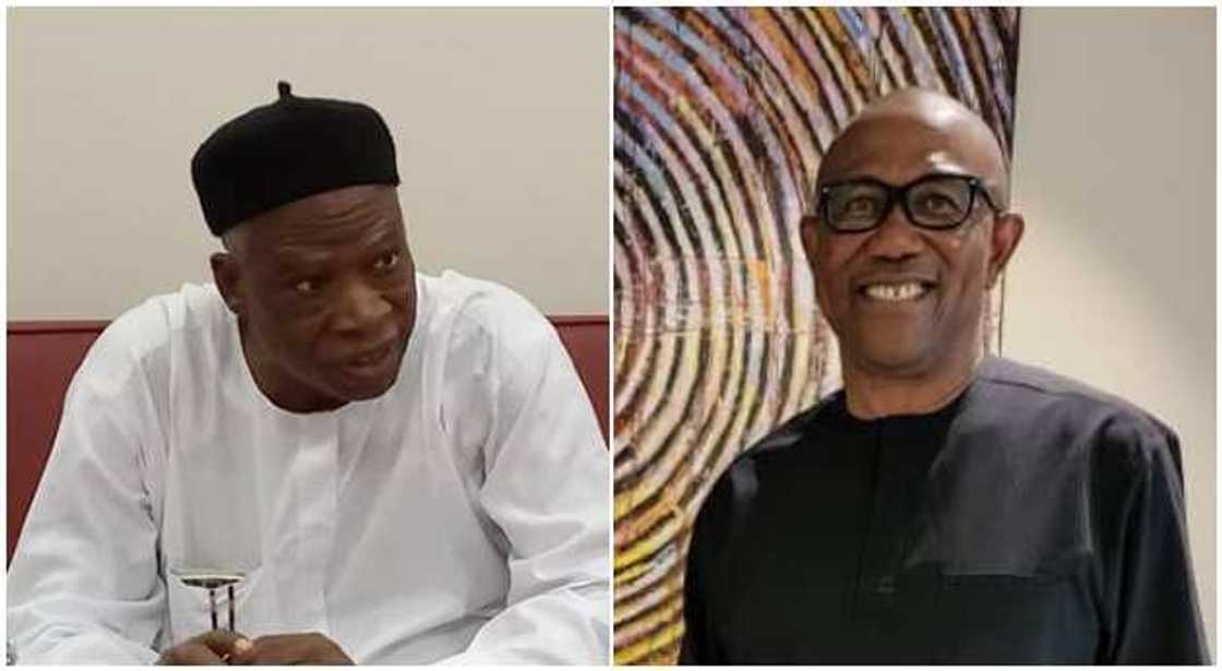 Adamu, Obi Adamu, Obi
