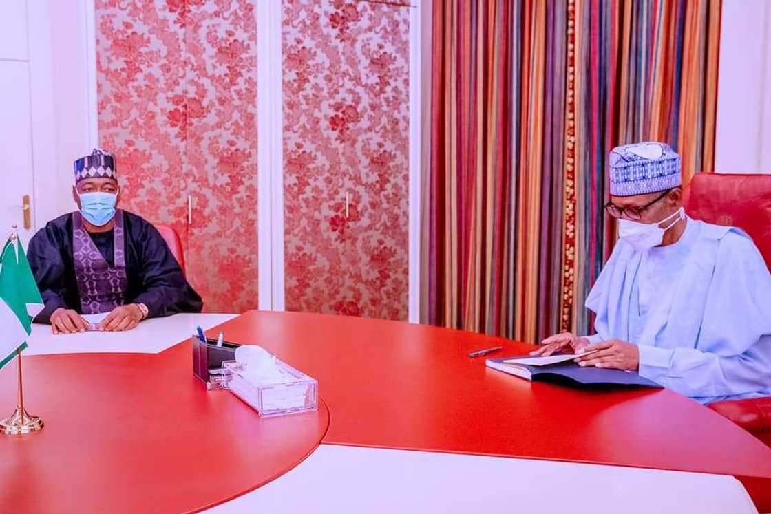 Boko Haram Insurgency: Whereabouts of 10% of Borno Population Unknown, Governor Zulum Boko Haram Insurgency: Whereabouts of 10% of Borno Population Unknown, Governor Zulum