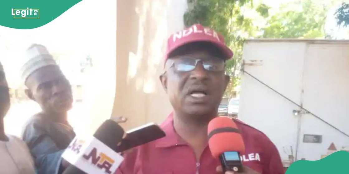 An kama wani Anas Sani da ake zargin manomin wiwi ne a Sokoto. An kama wani Anas Sani da ake zargin manomin wiwi ne a Sokoto.