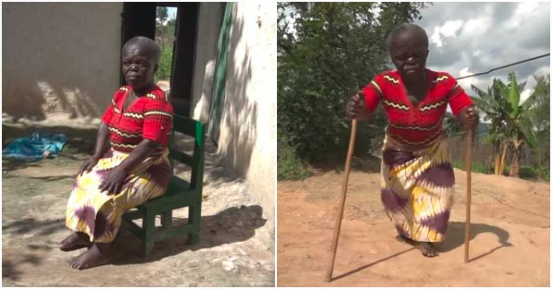 Rayuwa tayi wahala: Budurwa yar shekara 70 da ke jiran masoyi na gaskiya ta magantu a bidiyo Rayuwa tayi wahala: Budurwa yar shekara 70 da ke jiran masoyi na gaskiya ta magantu a bidiyo