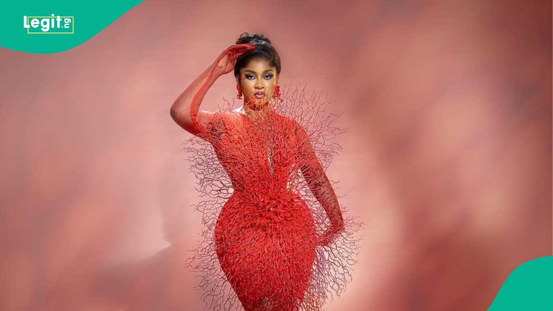 Blogger Davrel calls out BBN's Phyna, makes grave allegation