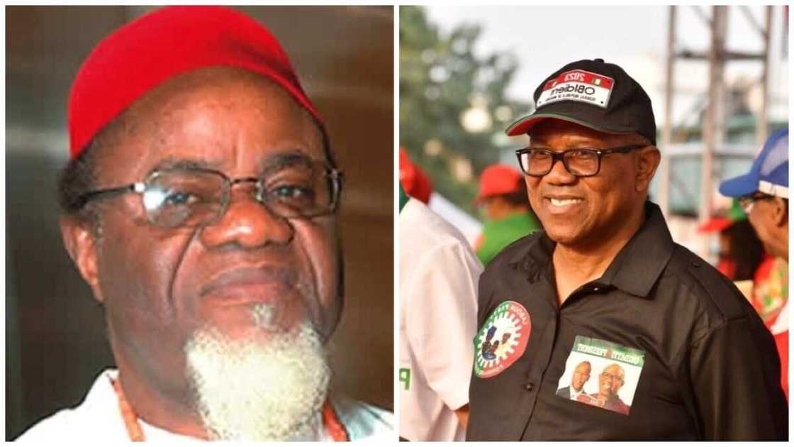 Chukwuemeka Ezeife, Peter Obi, Labour Party, Anambra state, 2023 presidential election in Nigeria