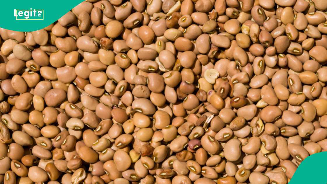 Traders Announce New Price of Beans Across Different Markets Traders Announce New Price of Beans Across Different Markets