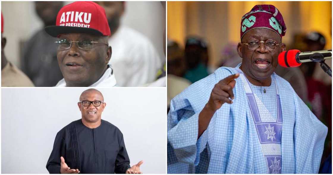 2023 general elections, Bola Tinubu, APC, Peter Obi, Atiku Abubakar