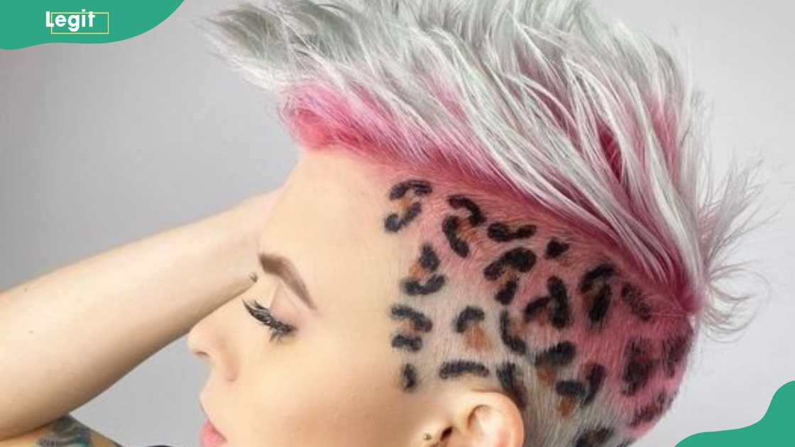 Animal print fade Animal print fade