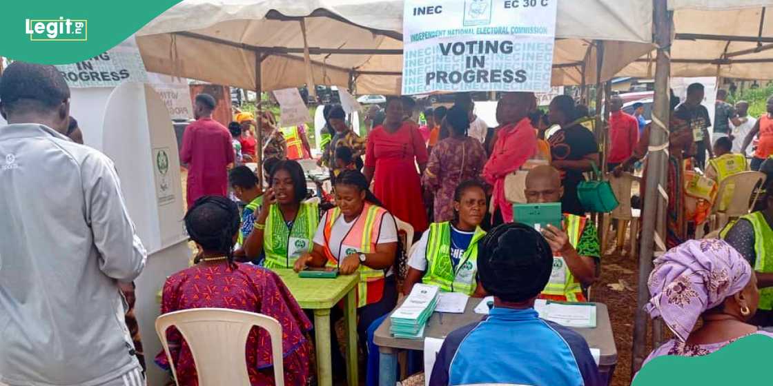 What disqualifies someone from running for office in Nigeria