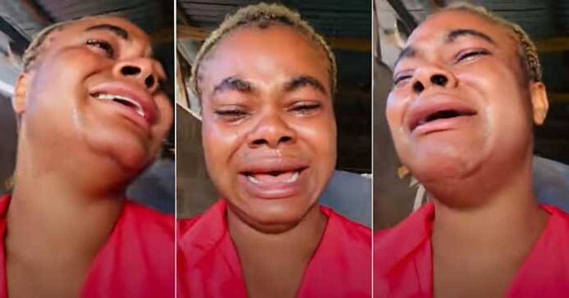 Poultry farmer loses 100 birds Poultry farmer loses 100 birds