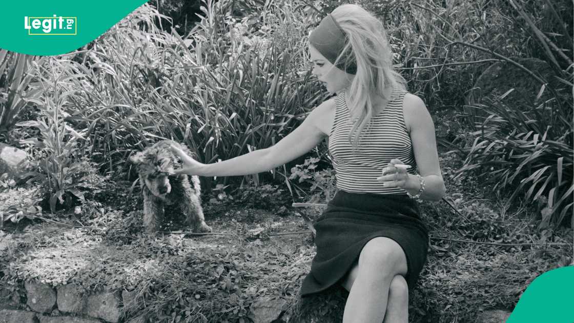 Fitacciyar jarumar fina finan Faransa, Brigitte Bardot ta mutu.