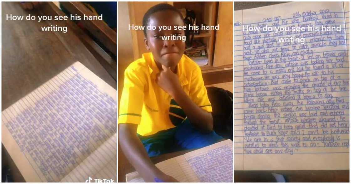 Fine handwriting, computer font, primary 6, boy with fine handwriting goes viral Fine handwriting, computer font, primary 6, boy with fine handwriting goes viral
