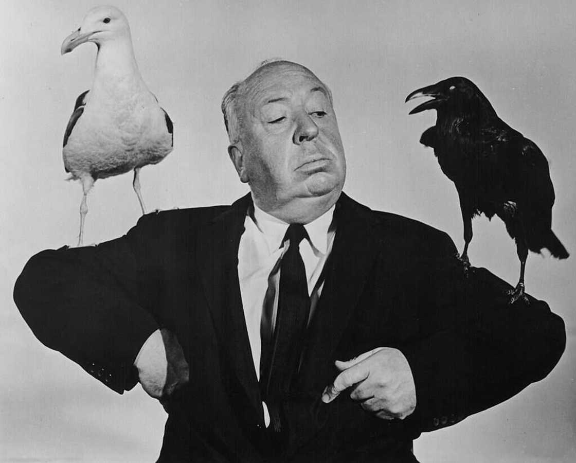 Alfred Hitchcock, le maître des films d'humour noir