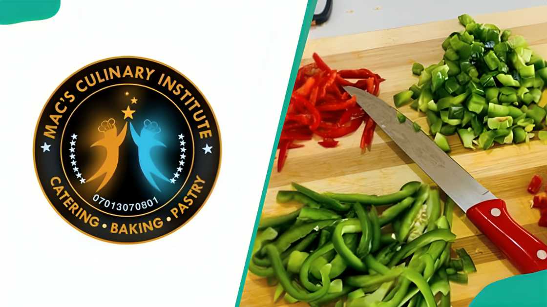 Mac's Culinary Institute logo and a sample of their food during preparations. Mac's Culinary Institute logo and a sample of their food during preparations.