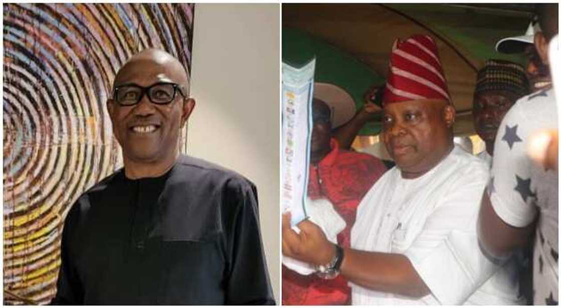 Peter Obi, Adeleke