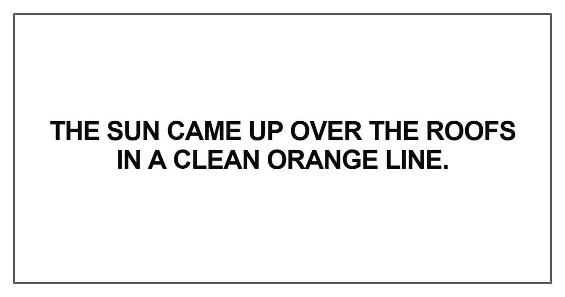 The sun came up over the roofs in a clean orange line The sun came up over the roofs in a clean orange line