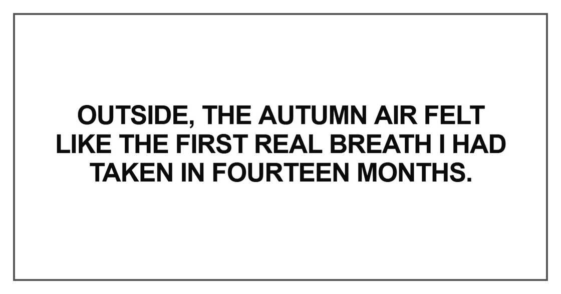 the autumn air felt like the first real breath I had taken in fourteen months the autumn air felt like the first real breath I had taken in fourteen months