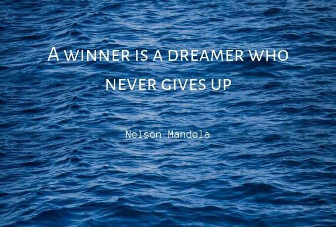 Never give up on your dream quotes Never give up on your dream quotes
