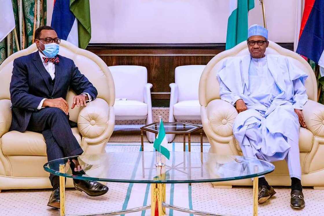 AfDB saga: What really happened when Buhari met Akinwunmi Adesina - Femi Adesina AfDB saga: What really happened when Buhari met Akinwunmi Adesina - Femi Adesina
