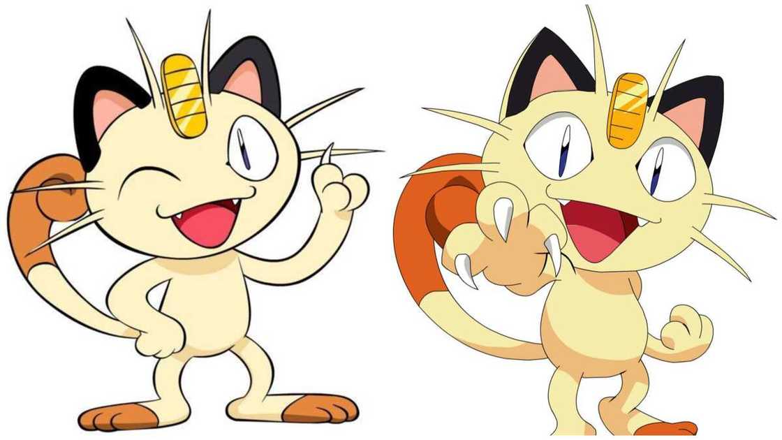 cats in anime cats in anime