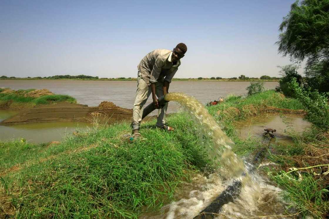 A farmer opens an irrigation pipe from the Nile in Sudan's Gezira state A farmer opens an irrigation pipe from the Nile in Sudan's Gezira state