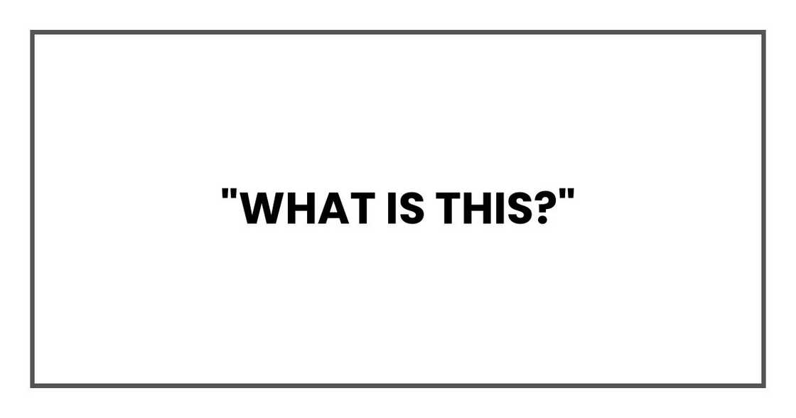 "What is this?" "What is this?"