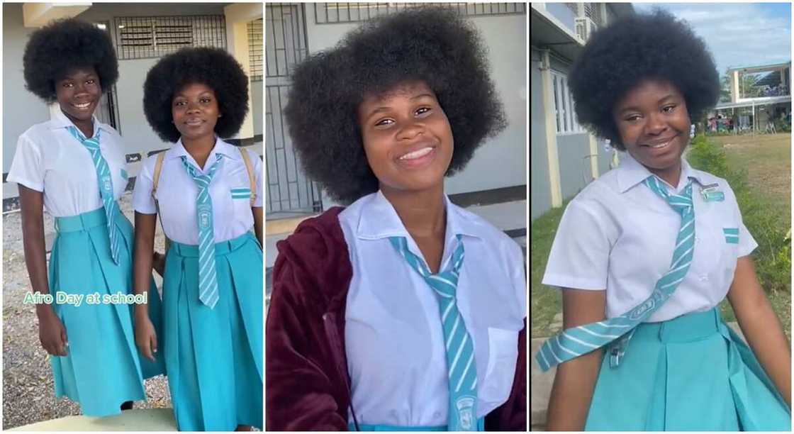 Photos of secondary school girls with dark afro hair.