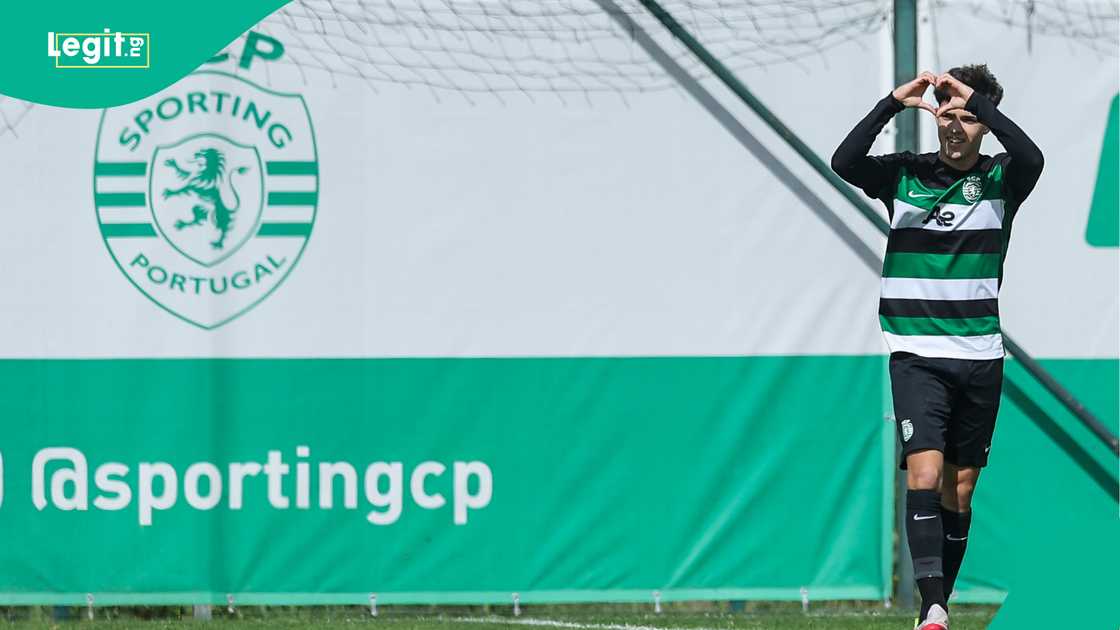 Flovian Goncalves, Sporting Lisbon, Stuttgart, UEFA Youth League, Aurelio Pereira, Portugal. Flovian Goncalves, Sporting Lisbon, Stuttgart, UEFA Youth League, Aurelio Pereira, Portugal.